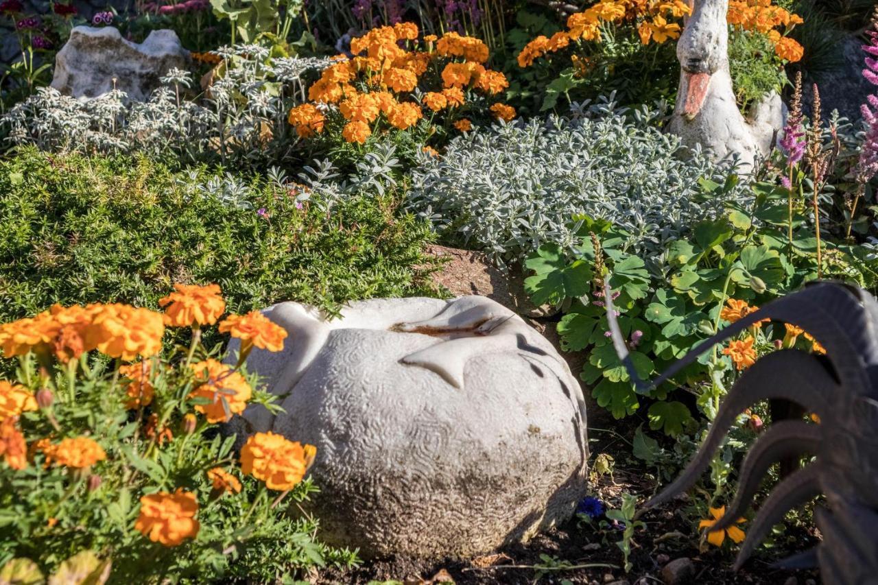 Tonigbauernhof Blumenwiese Шена Екстериор снимка